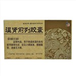 溫腎前列膠囊(修正)
