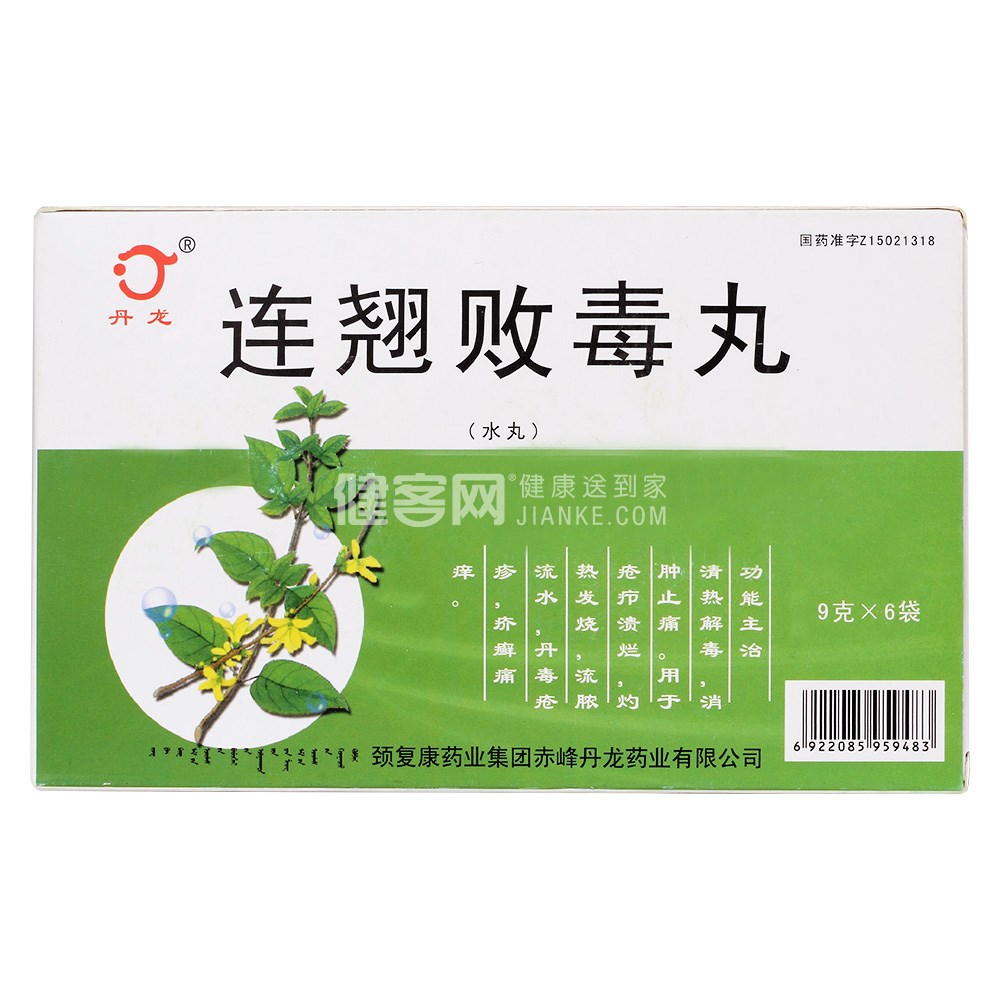 连翘败毒丸(丹龙)