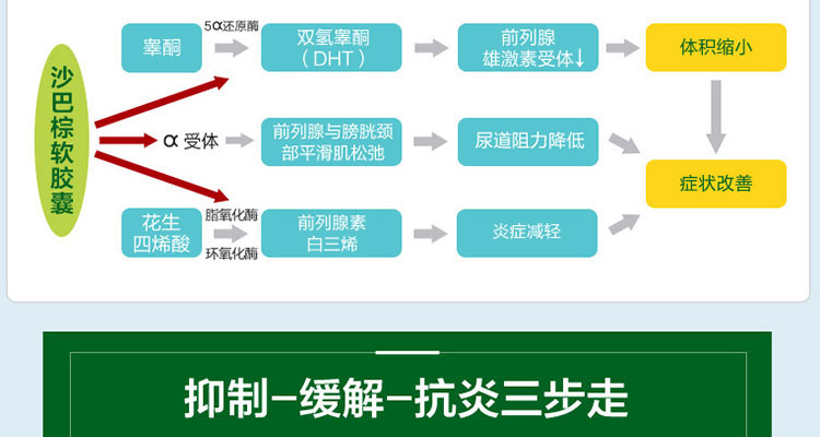 沙巴棕软胶囊(柏诺特)