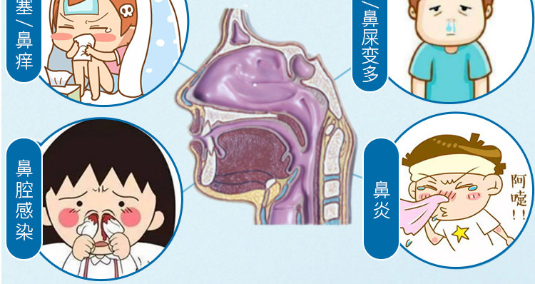 成人装鼻腔清洗器(鼻可乐)(附10袋成人洗鼻剂)