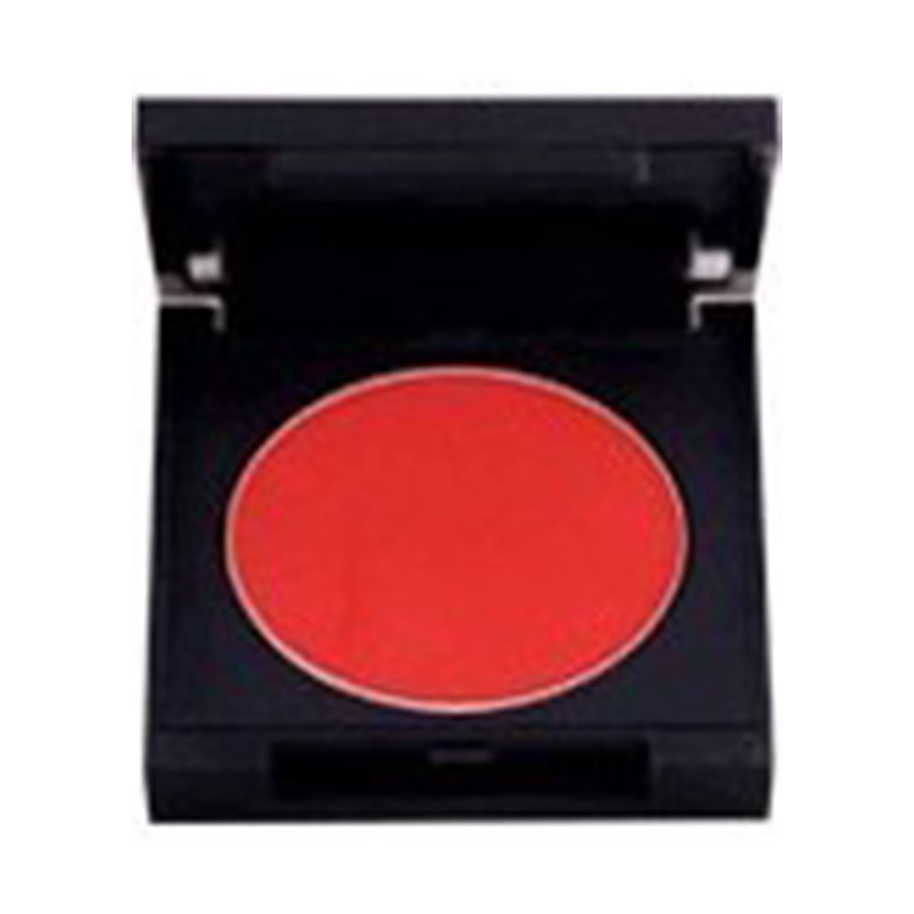 ZFC哑光眼影 Z307(哑光眼影) _作用_效果_