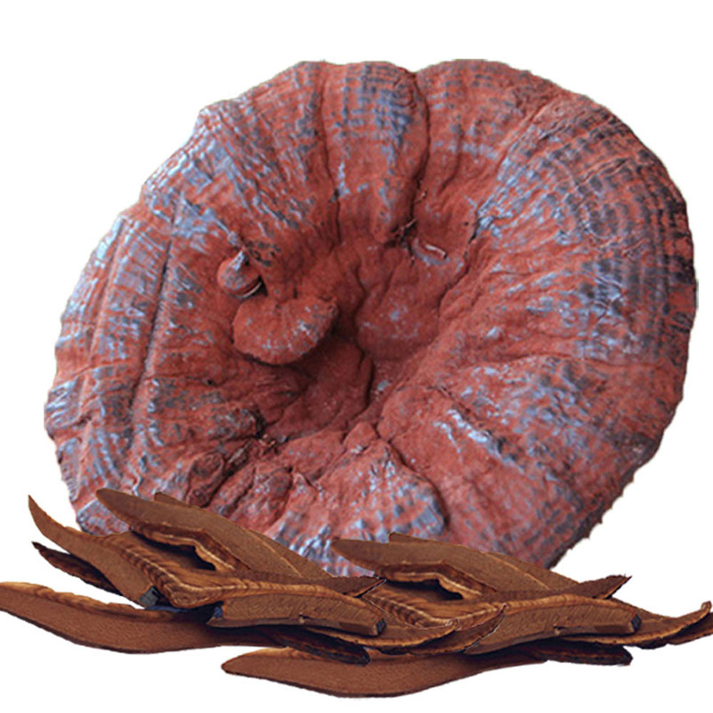 一品仙芝 健康茶饮 紫灵芝(200克装)