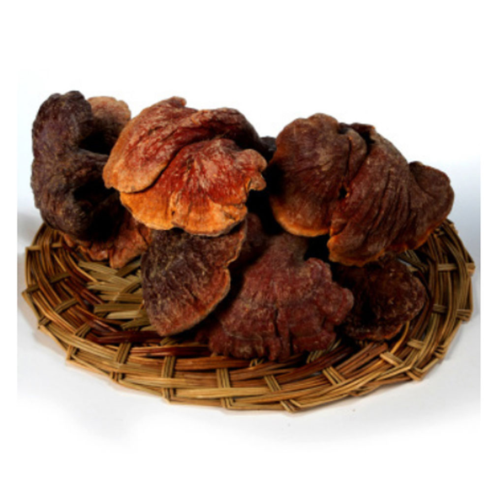 一品仙芝 味微苦红灵芝 400克