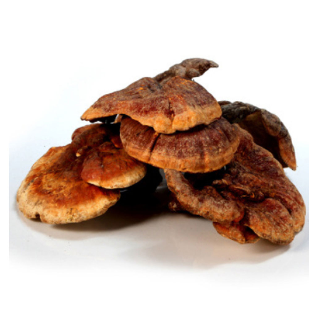 一品仙芝 野生赤灵芝 400克