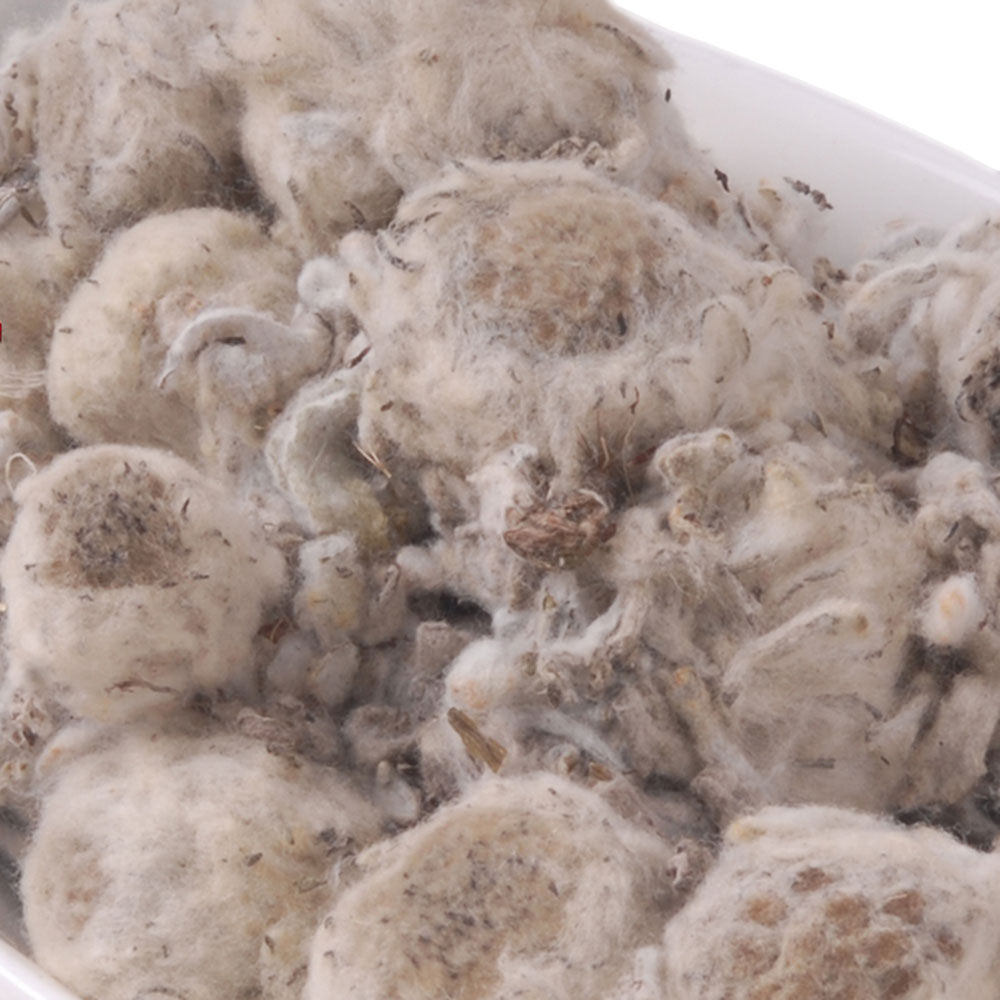 藏禧堂 野生白雪莲花(500克)