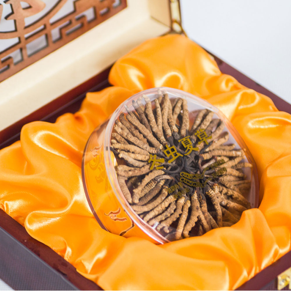 七芝堂 冬虫夏草(15克装)