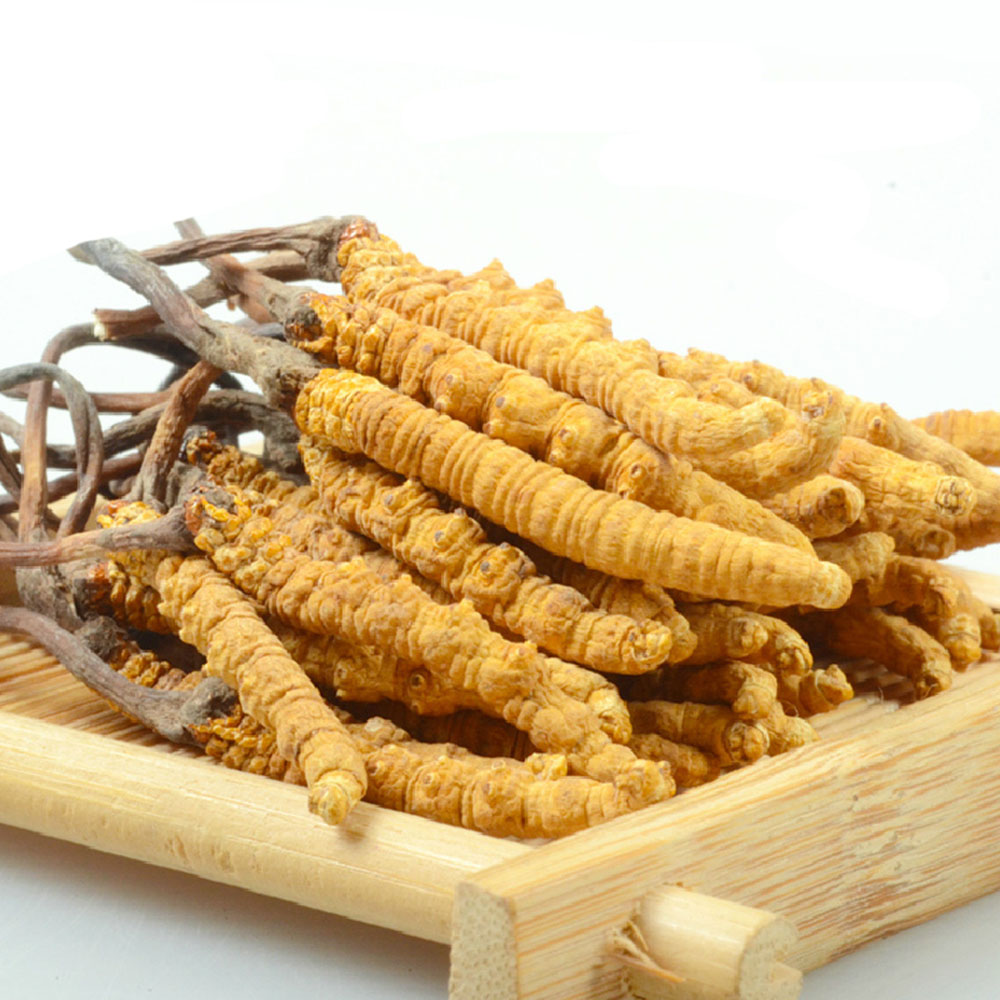 七芝堂 那曲冬虫夏草(礼盒装 20克)