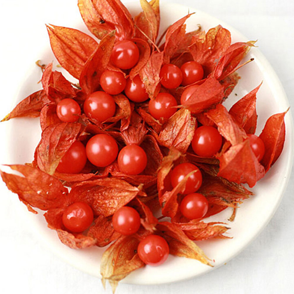 锦灯笼(雪域满江 50克)