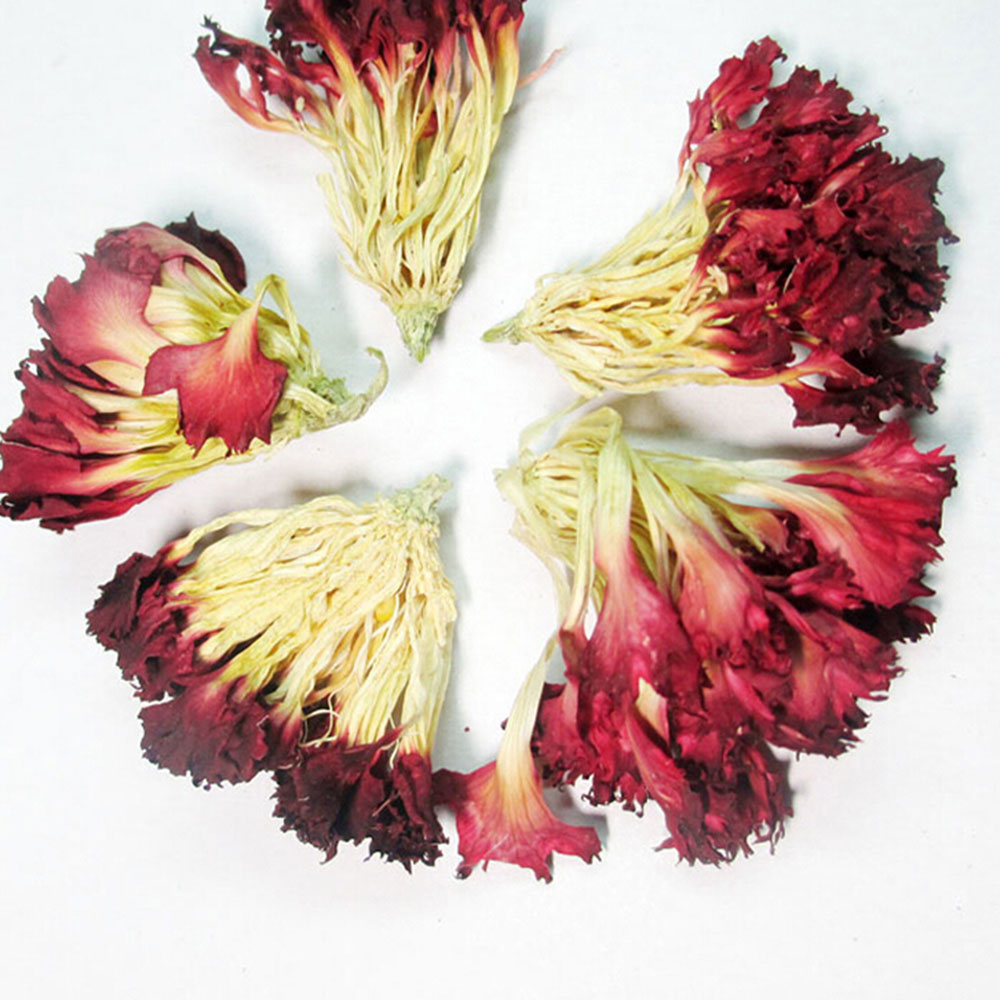 雪域满江 健康花草茶 康仙花(100克)