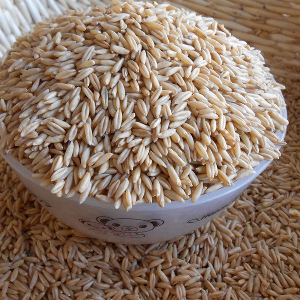 雪域满江 燕麦米(200克)