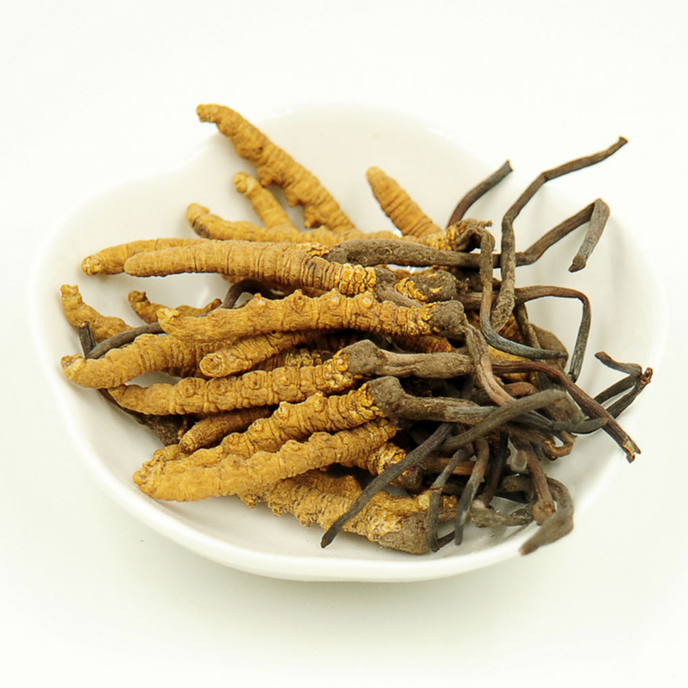 金贵 高海拔野生虫草(1克装)