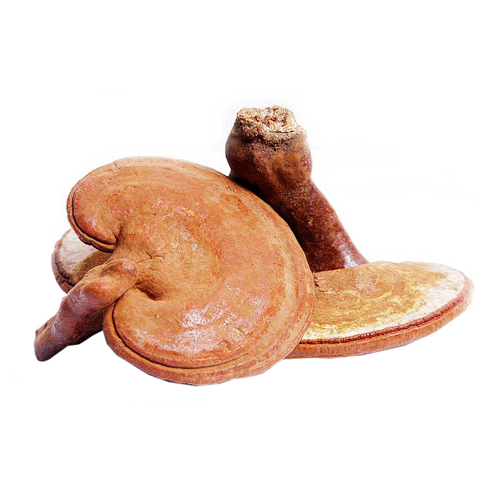 提高人体机能免疫力 2. 调节心血管系统 3. 增强呼吸系统 4.