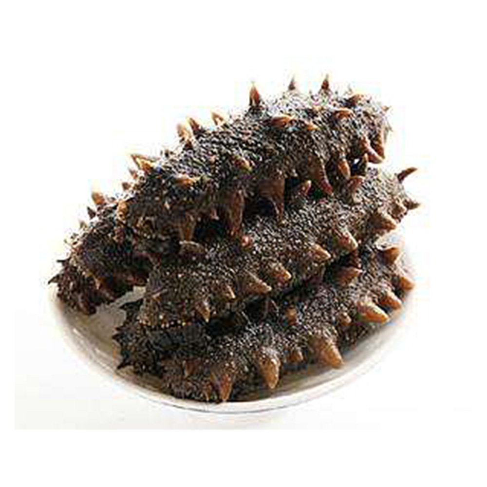 海参(绿参 北美参)(元德)