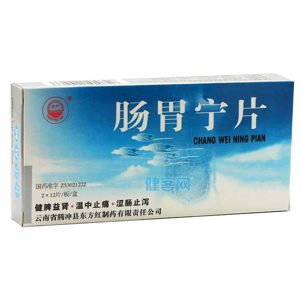 肠胃宁片汉森